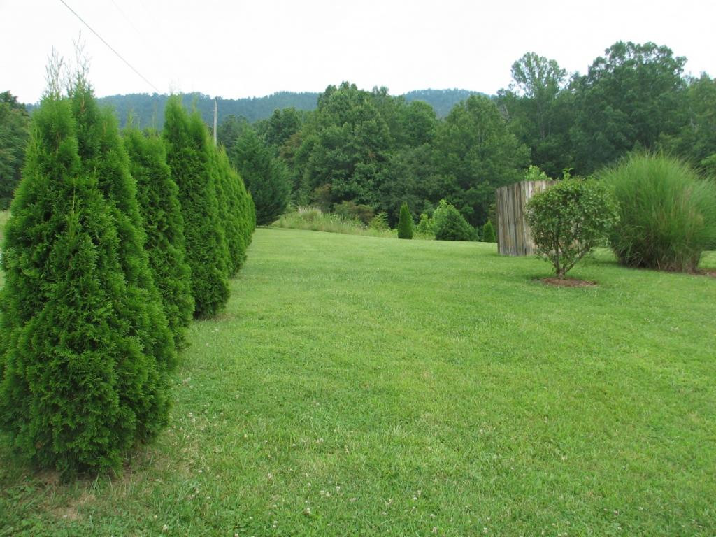 2703 Upper Stone Mountain Road Unicoi, TN 37692 - Photo 28 of 36 Photo 28