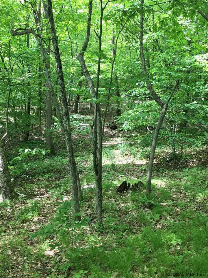 A Goodell Road Petersburg, NY 12138 - Photo 1 of 13 Photo 1
