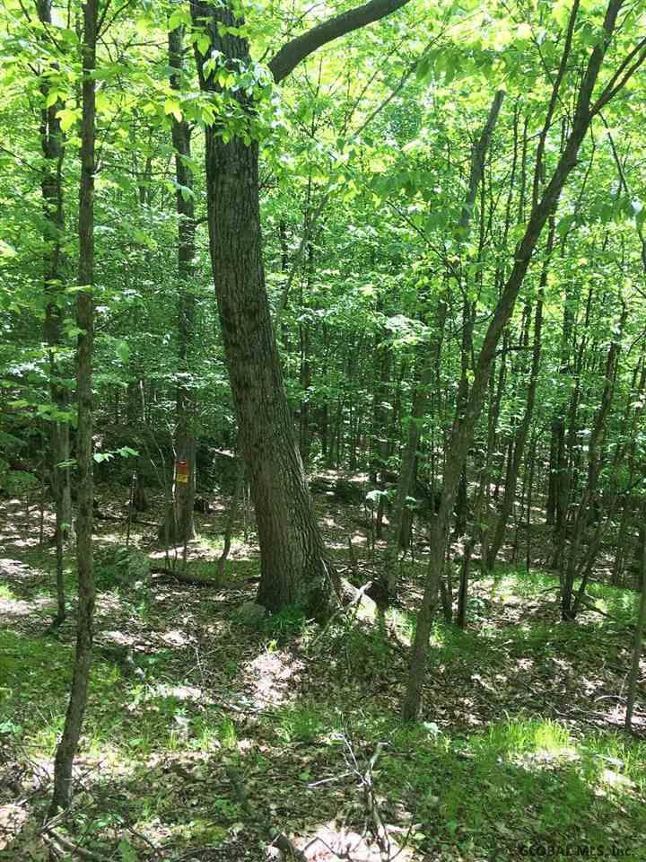 A Goodell Road Petersburg, NY 12138 - Photo 2 of 13 Photo 2