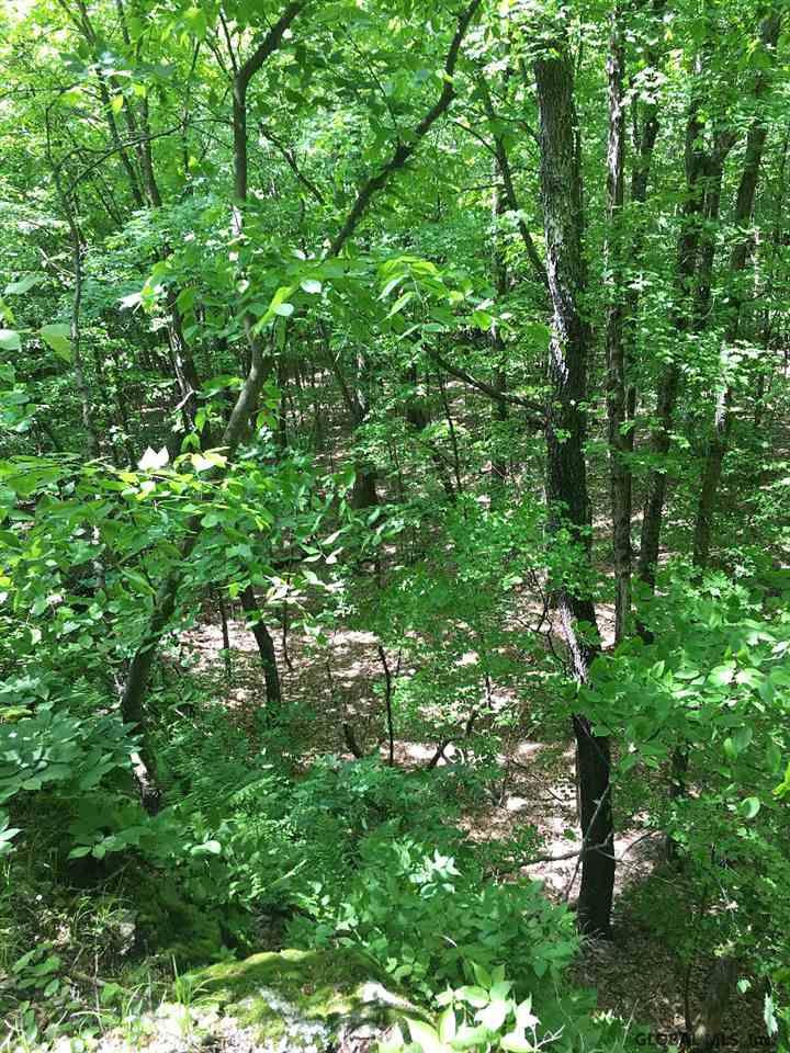 A Goodell Road Petersburg, NY 12138 - Photo 3 of 13 Photo 3