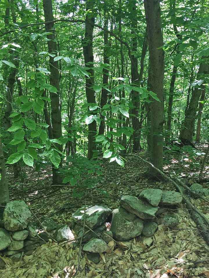 A Goodell Road Petersburg, NY 12138 - Photo 6 of 13 Photo 6