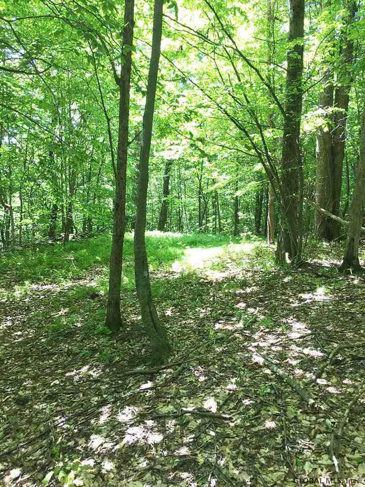 A Goodell Road Petersburg, NY 12138 - Photo 7 of 13 Photo 7
