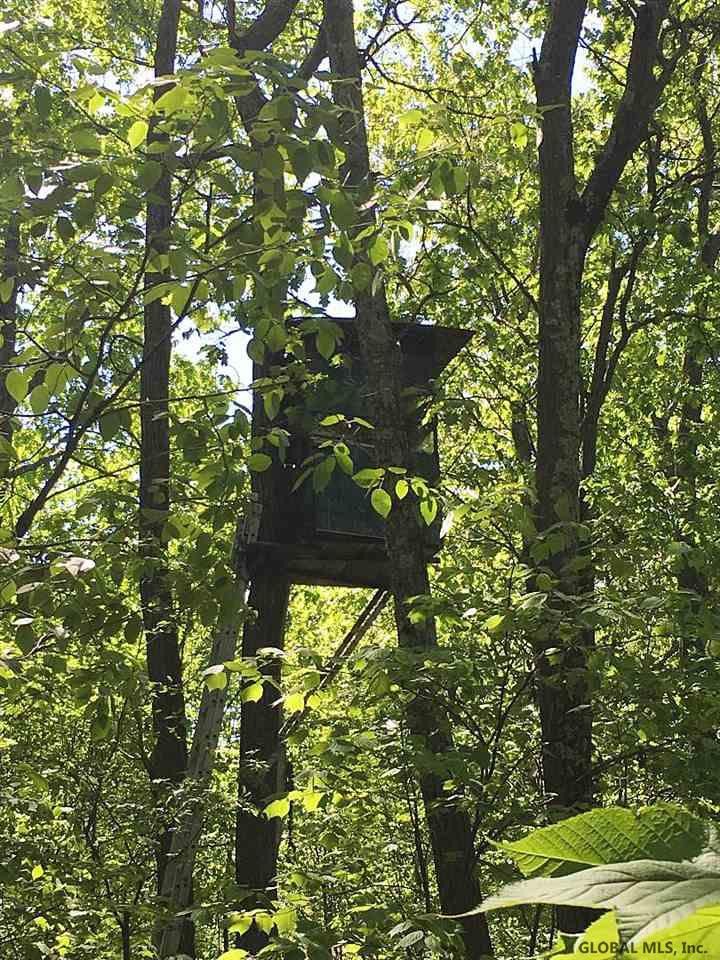 A Goodell Road Petersburg, NY 12138 - Photo 10 of 13 Photo 10