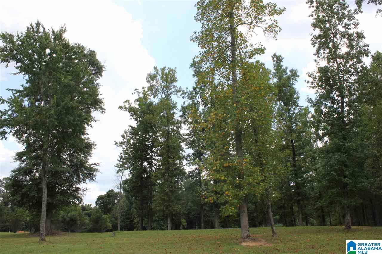 1780 Brookside Road, Unit 1 Mount Olive, AL 35117 - Photo 11 of 13 Gallery Image 11