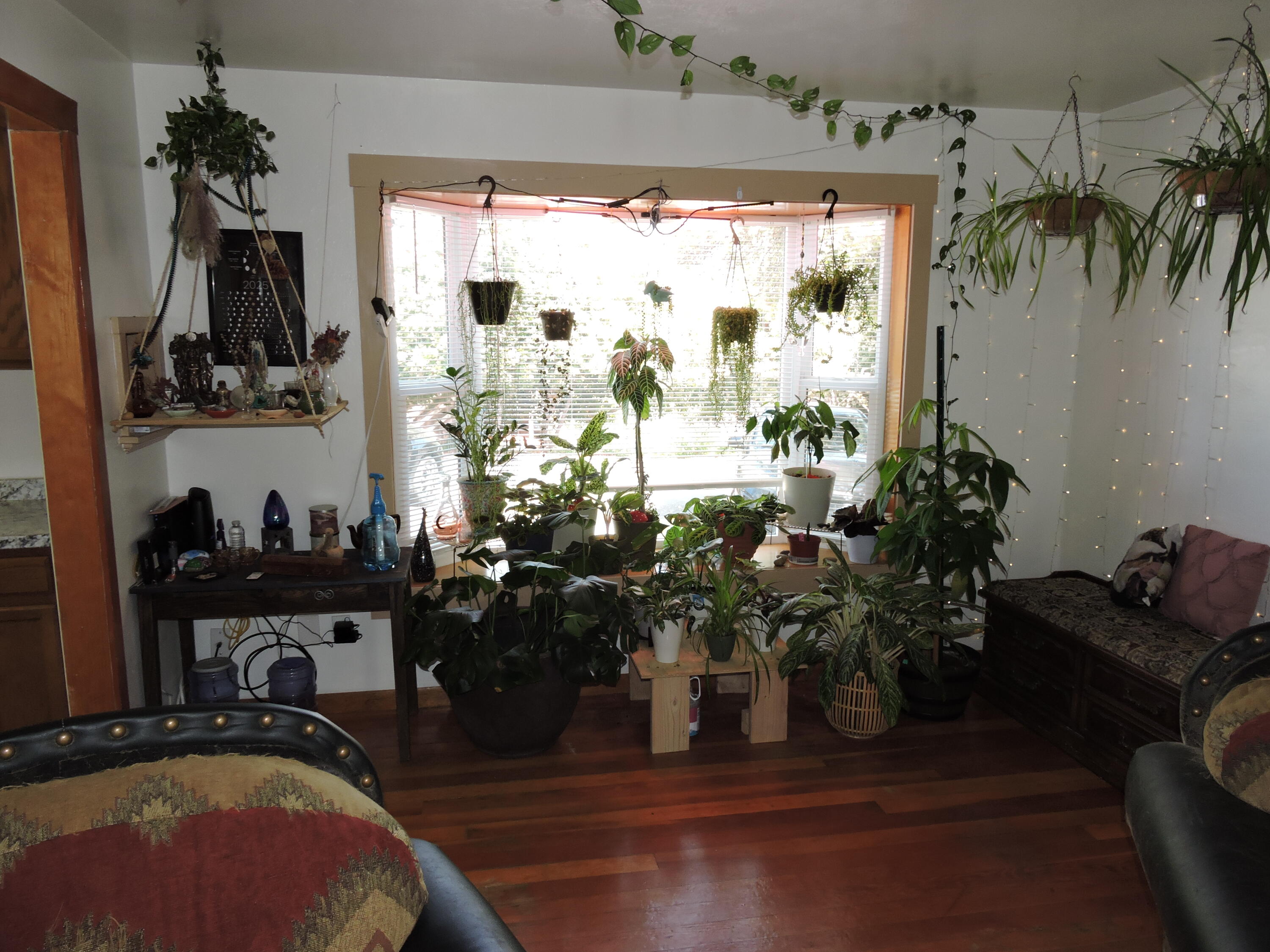 67 Woolen Way Ashland, OR 97520 - Photo 56 of 83 DSCN3914