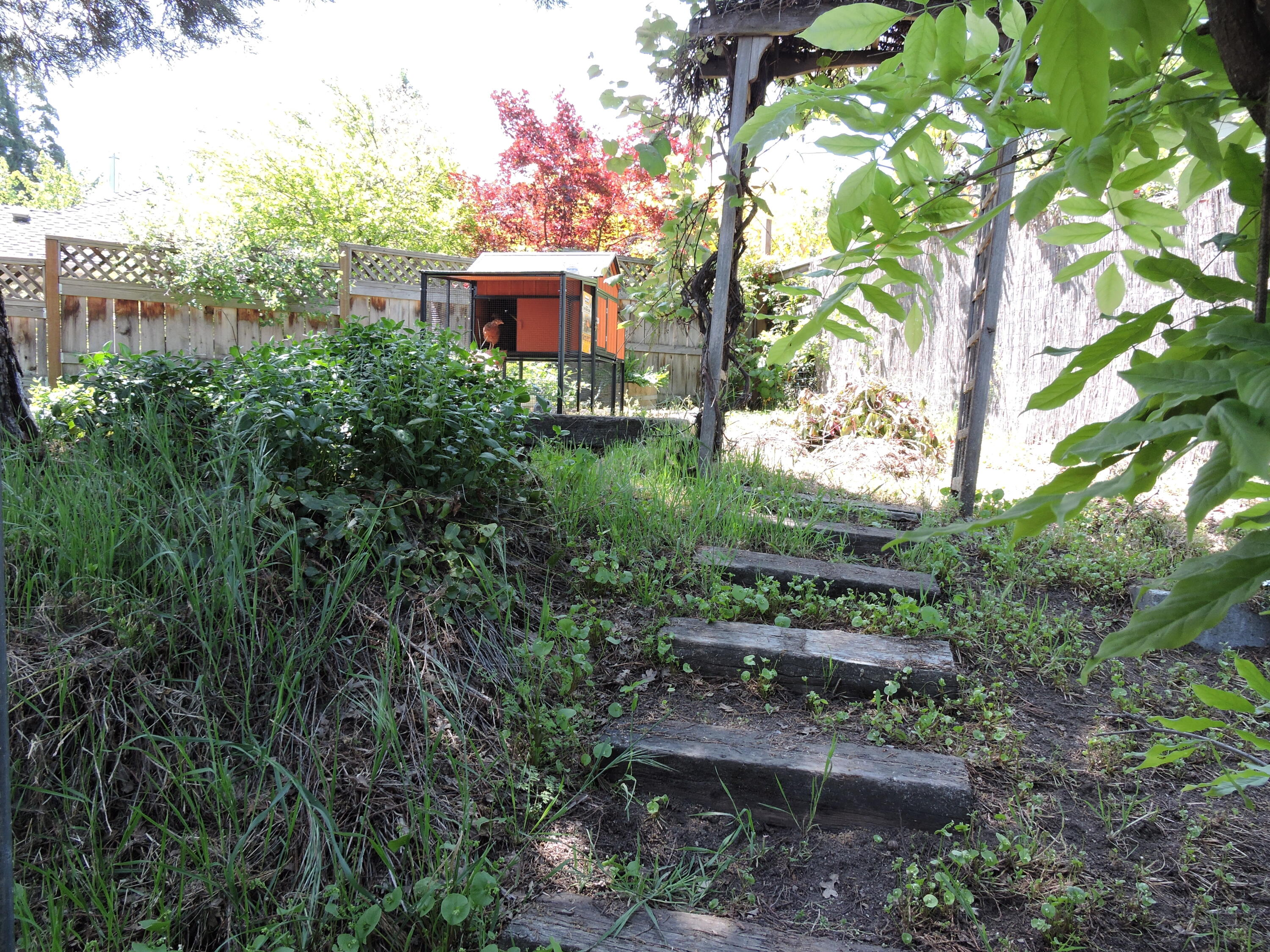67 Woolen Way Ashland, OR 97520 - Photo 80 of 83 DSCN3932