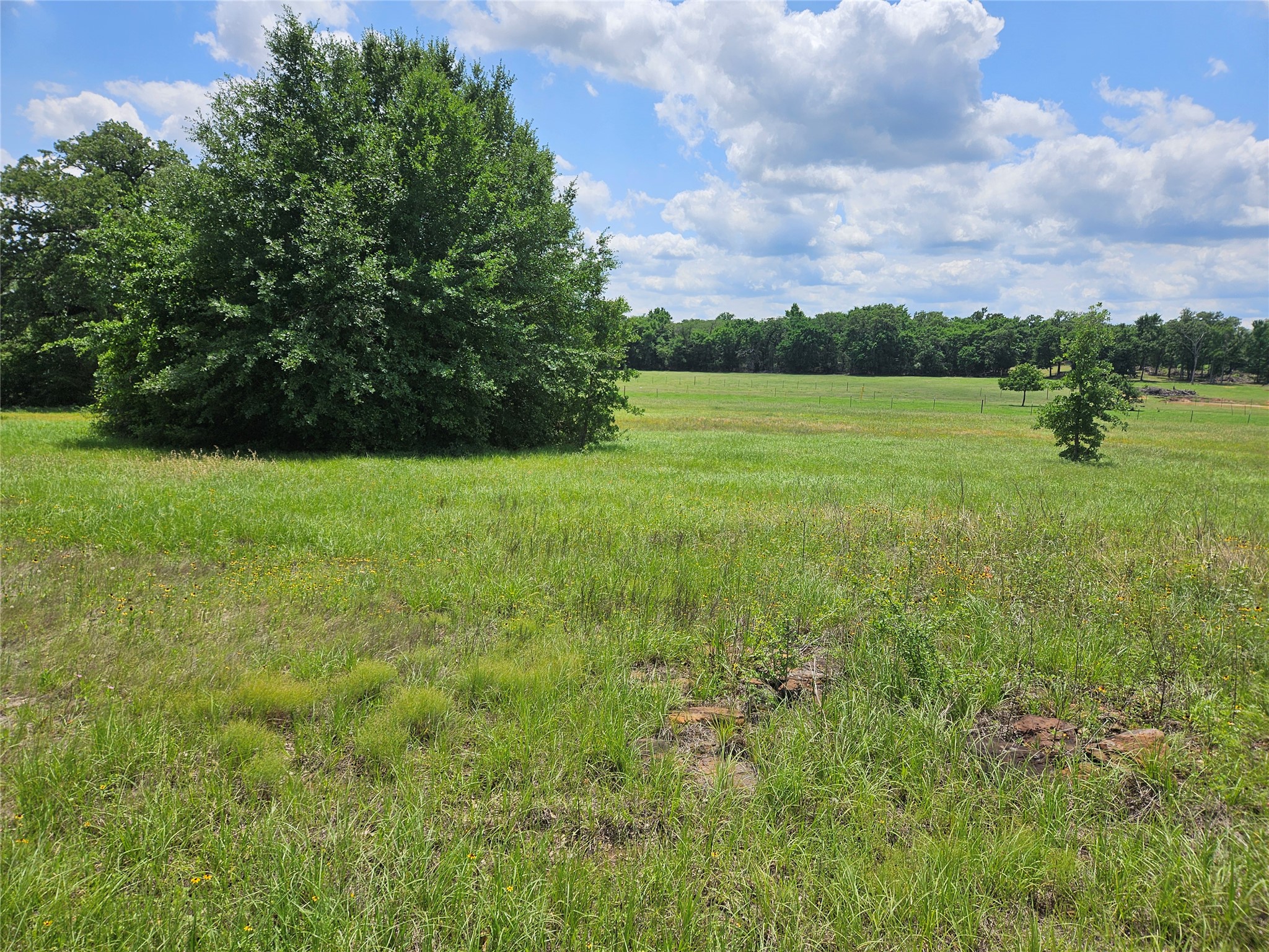 346 Rd Milano Tx 76556 Road Milano, TX 76556 - Photo 2 of 6 a view of a garden