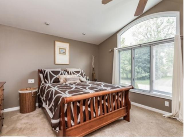 11333 Elizabeth Drive Three Rivers, MI 49093 - Photo 6 of 7 Master Bedroom