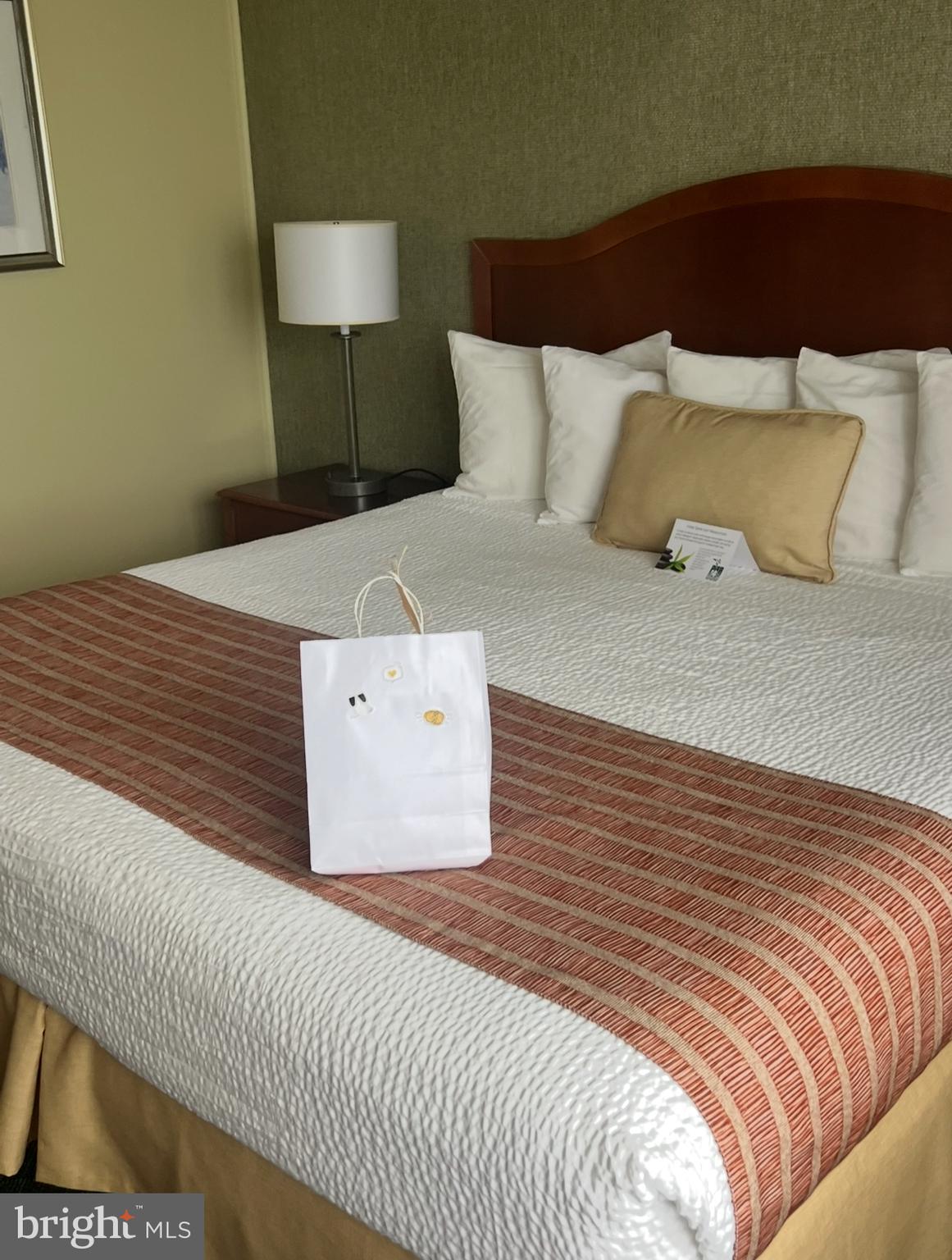 4448 Mitchell Street Philadelphia, PA 19128 - Photo 20 of 22 a bedroom with a bed and a lamp