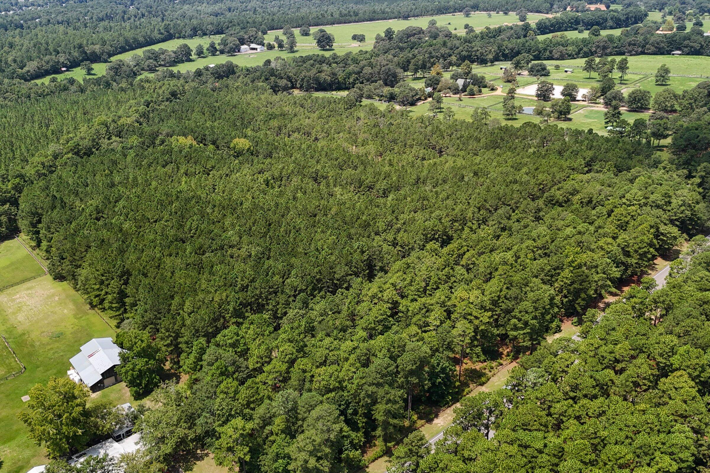 3320 Banks Mill Road Southeast Aiken, SC 29803 - Photo 7 of 20