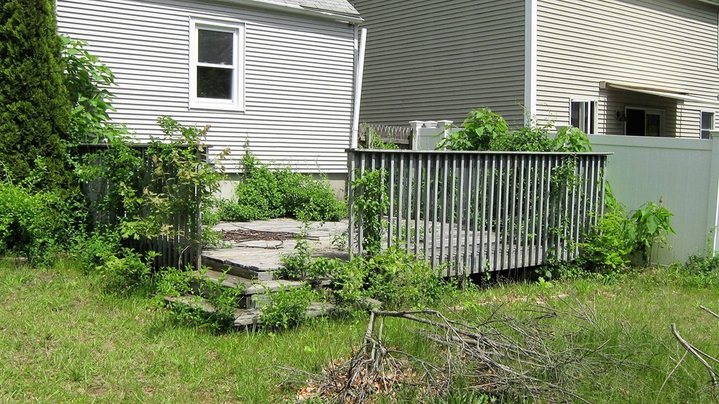 238 Shawmut Street Springfield, MA 01108 - Photo 3 of 12
