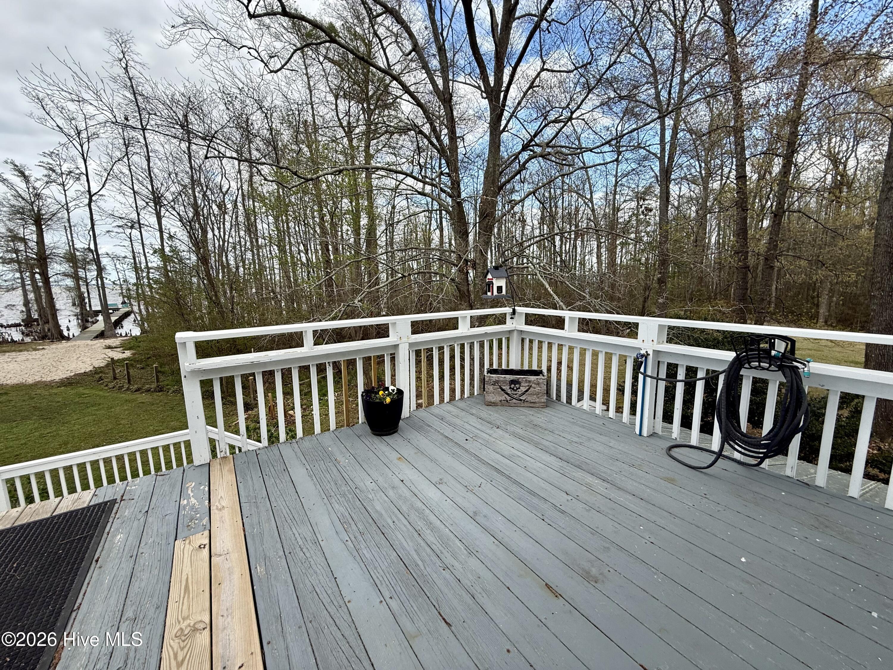 380 Beech Bay Road Roper, NC 27970 - Photo 54 of 85 IMG_8991