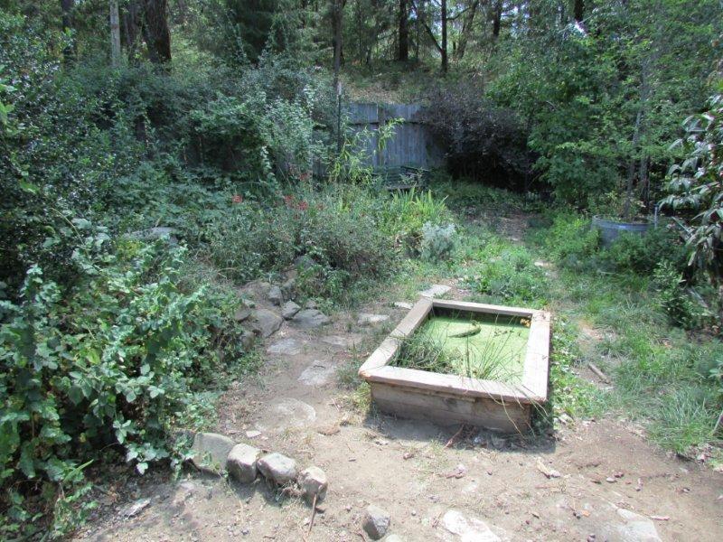 270 Wellock Road Lewiston, CA 96052 - Photo 26 of 30 Garden 2