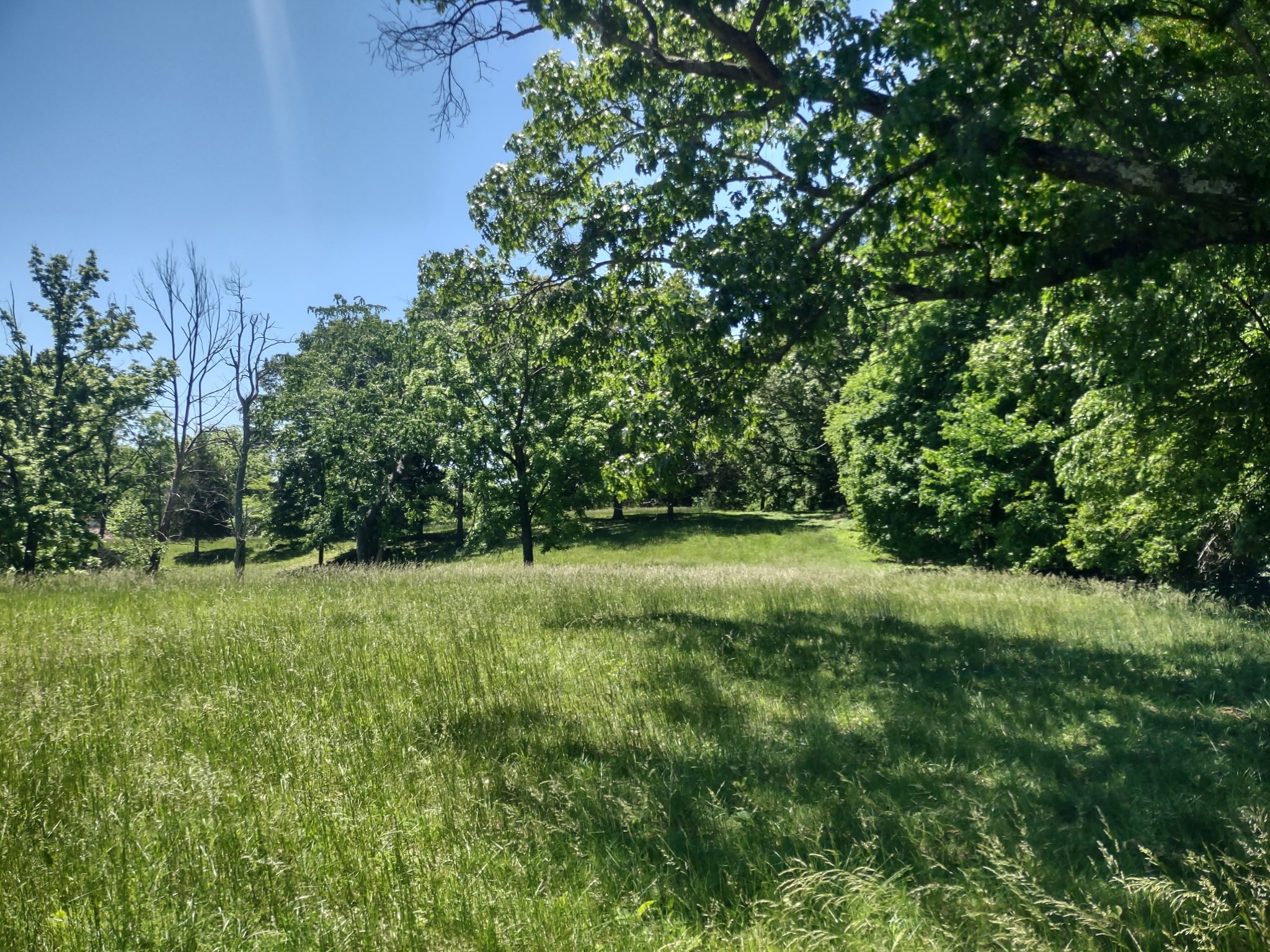 a view of outdoor space and yard