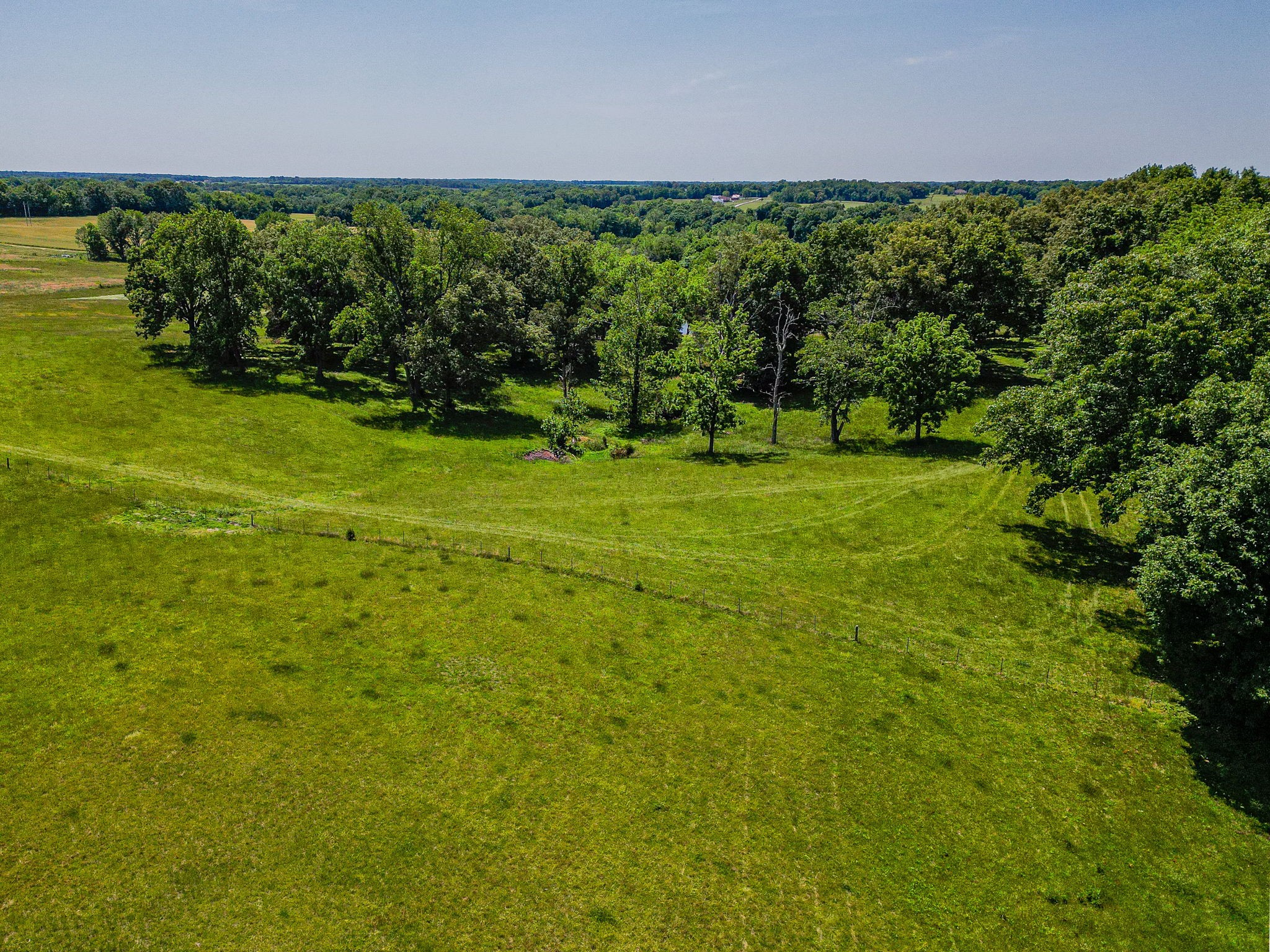 3 Valley Road Springfield, TN 37172 - Photo 17 of 26 a view of a yard with an tree