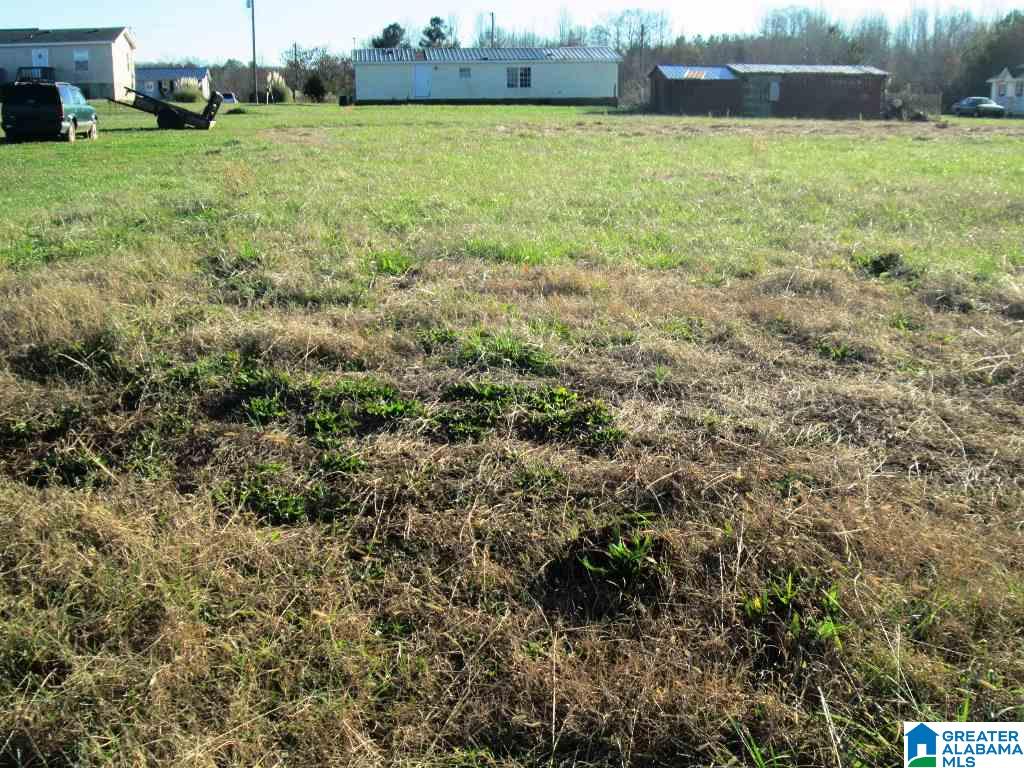 733 Springhill Road, Unit 1 Talladega, AL 35160 - Photo 3 of 4