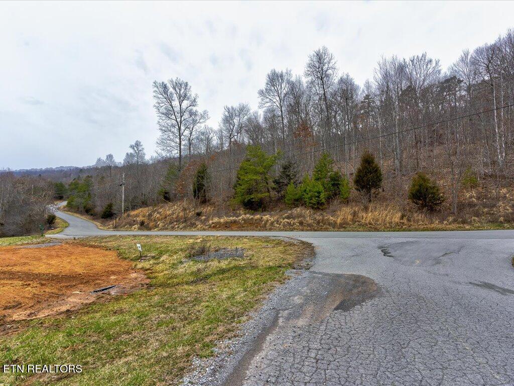 Lot 535 Whistle Valley Road - 1