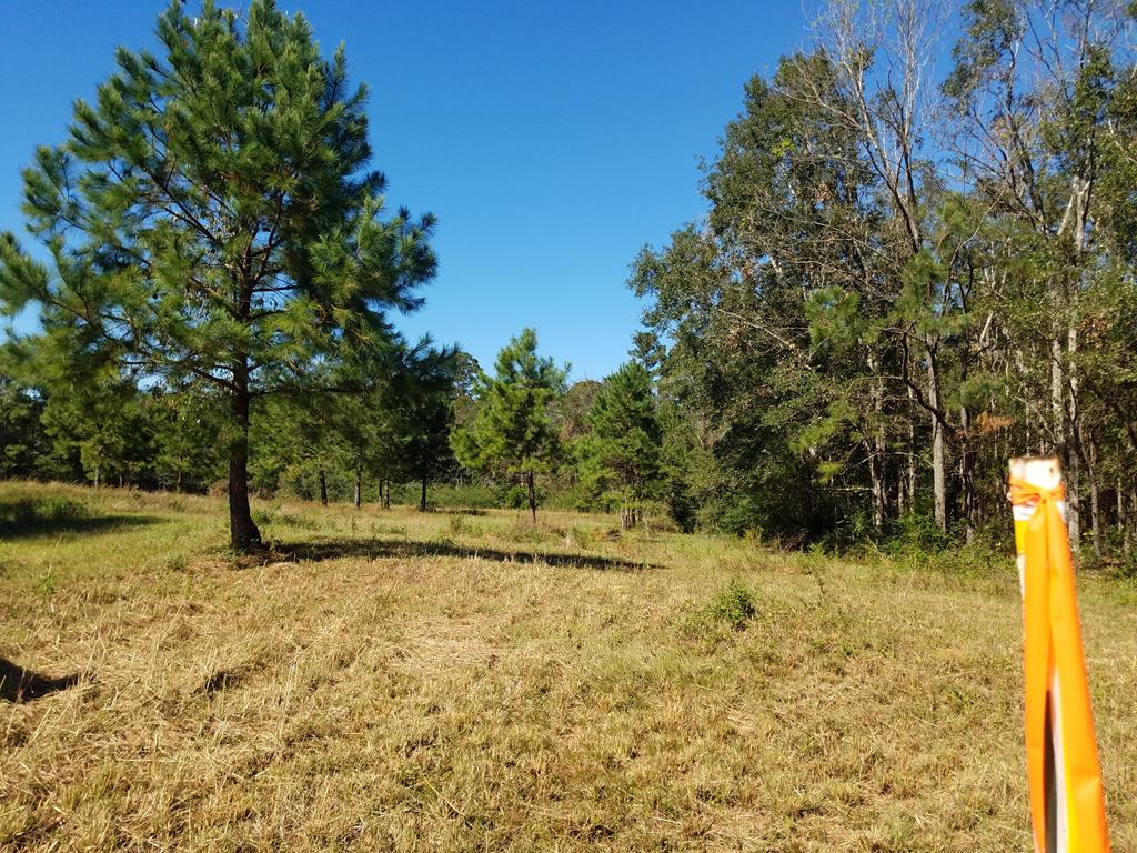 731 Drew Road, Unit 2A Ochlocknee, GA 31773 - Photo 1 of 1 Main View
