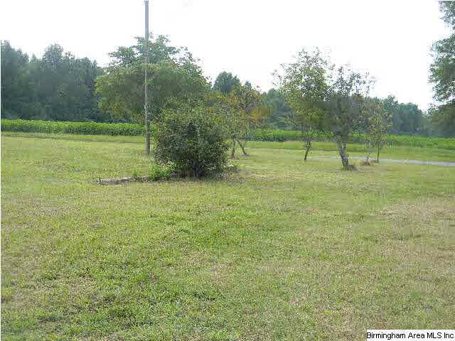426 County Road 597 Verbena, AL 36091 - Photo 3 of 10
