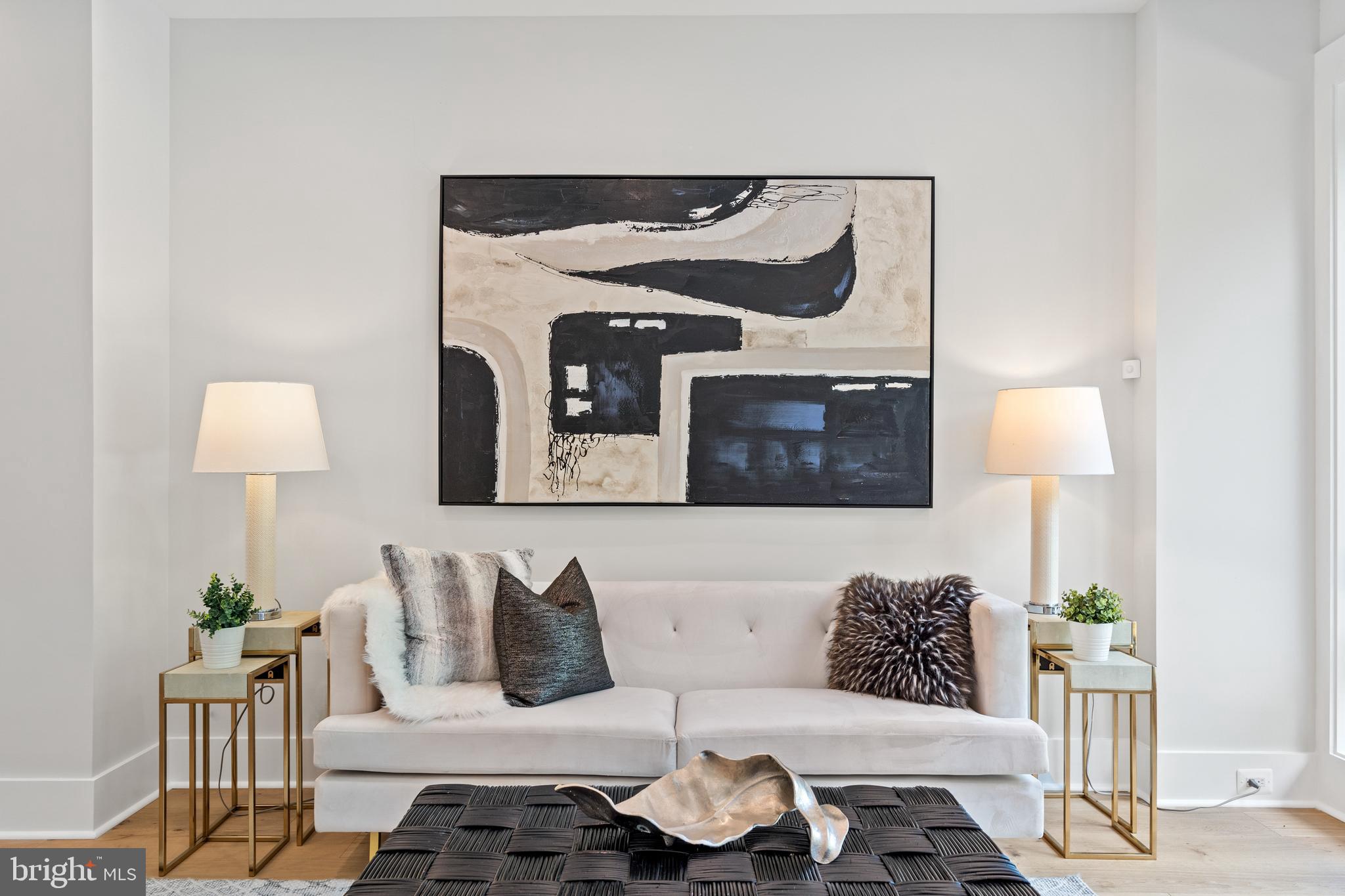 3726 R Street Northwest Washington, DC 20007 - Photo 6 of 59 Living room