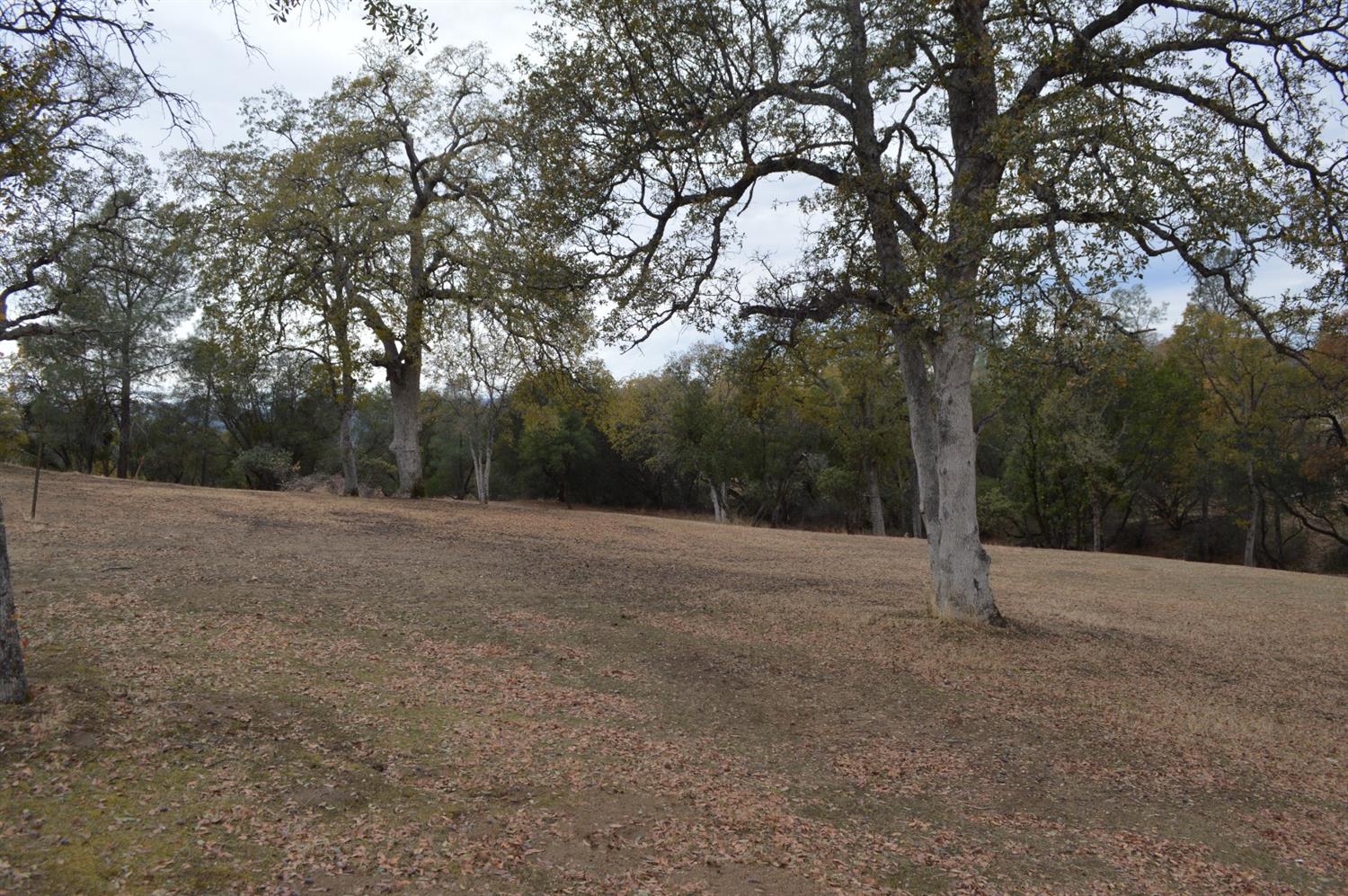 3289 Quail Run Road Mariposa, CA 95338 - Photo 24 of 29 Gallery Image 24