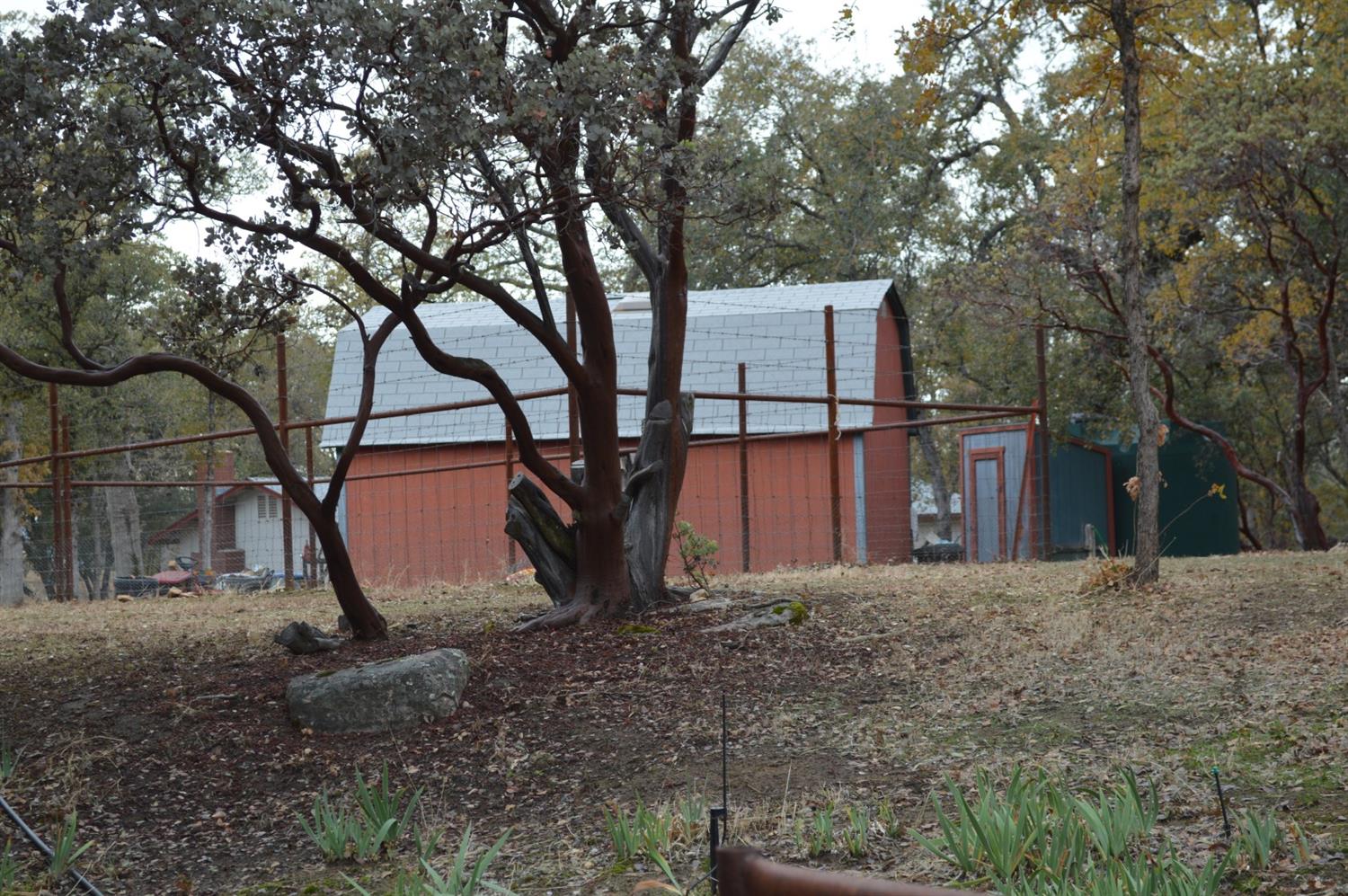 3289 Quail Run Road Mariposa, CA 95338 - Photo 6 of 29 Gallery Image 6