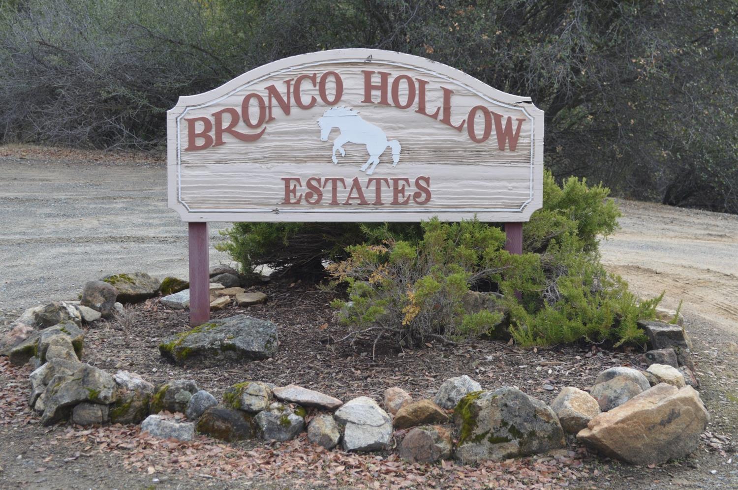 3289 Quail Run Road Mariposa, CA 95338 - Photo 8 of 29 Gallery Image 8