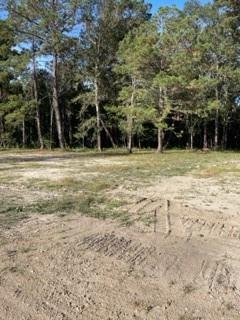 Parcel C Parcel C Magee Road Folsom, LA 70437 - Photo 2 of 5 Gallery Image 2