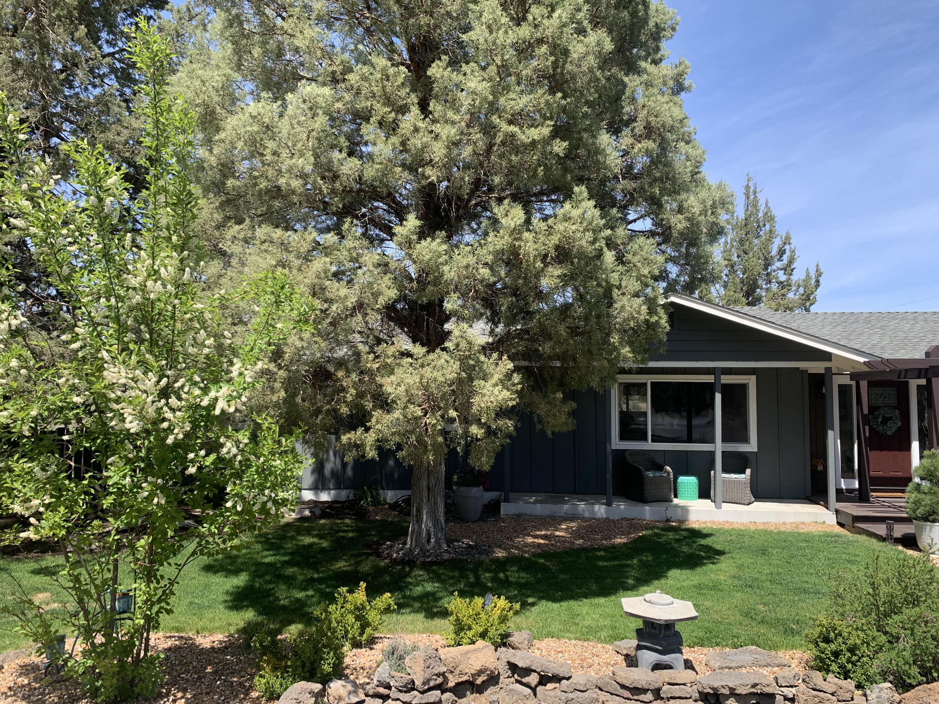 23084 McGrath Road Bend, OR 97701 - Photo 7 of 24 IMG_9754 (1)