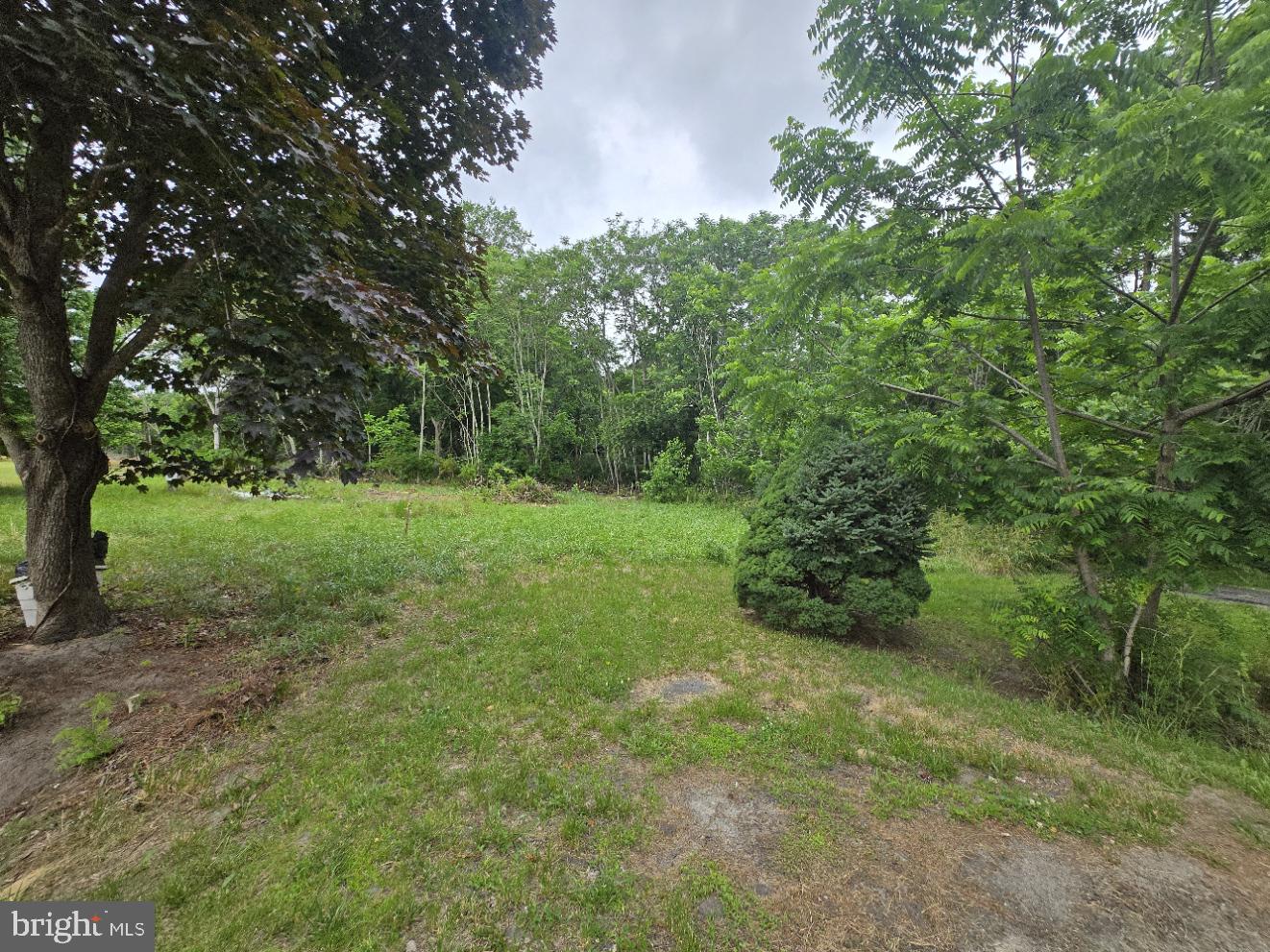 32298 Powell Farm Road Frankford, DE 19945 - Photo 3 of 4