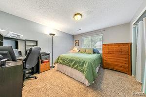 1351 Culpepper Ridge Drive Ballwin, MO 63021 - Photo 23 of 29 Gallery Image 23