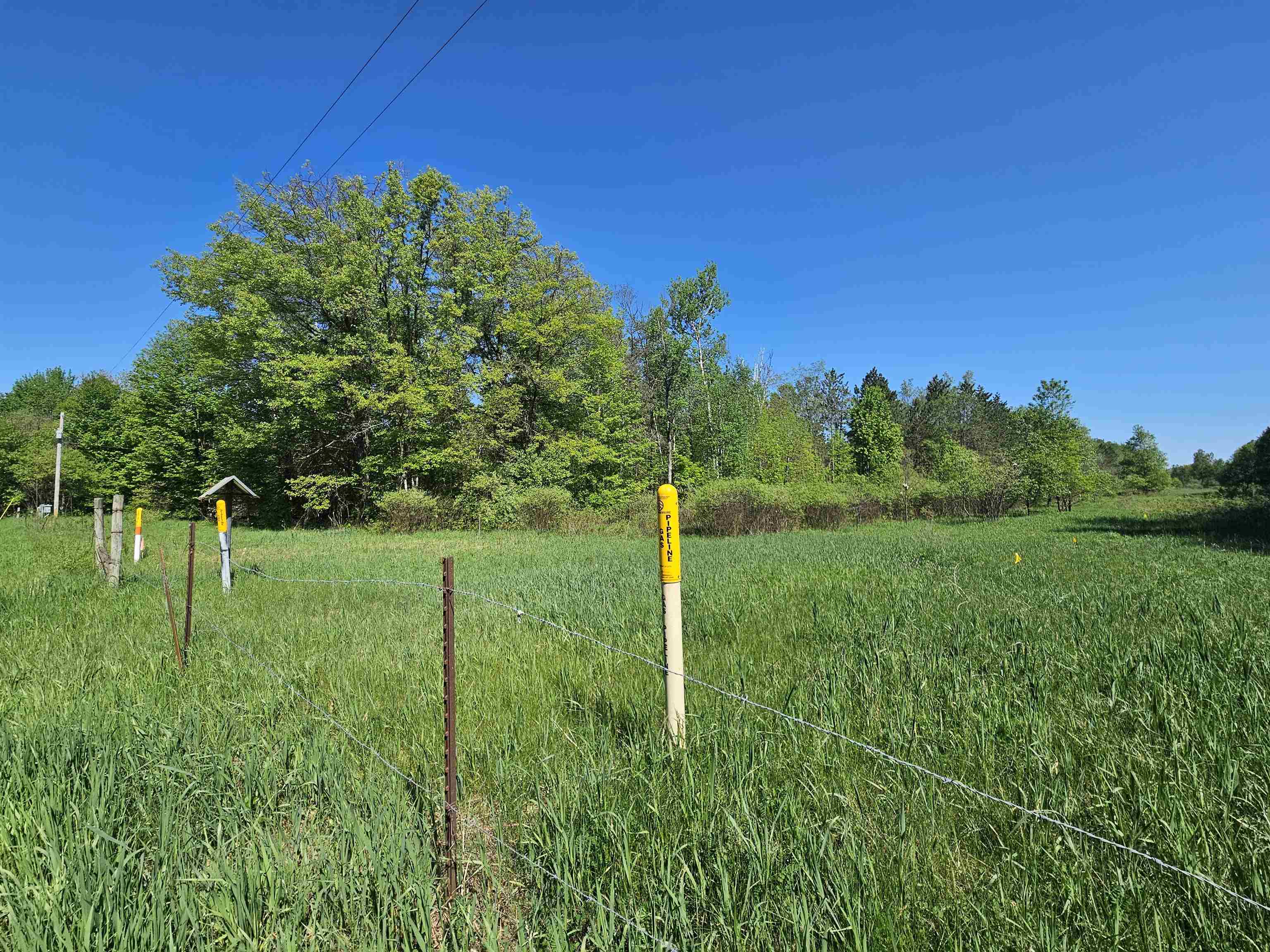 5350 East Cranberry Lake Road Harrison, MI 48625 - Photo 10 of 23