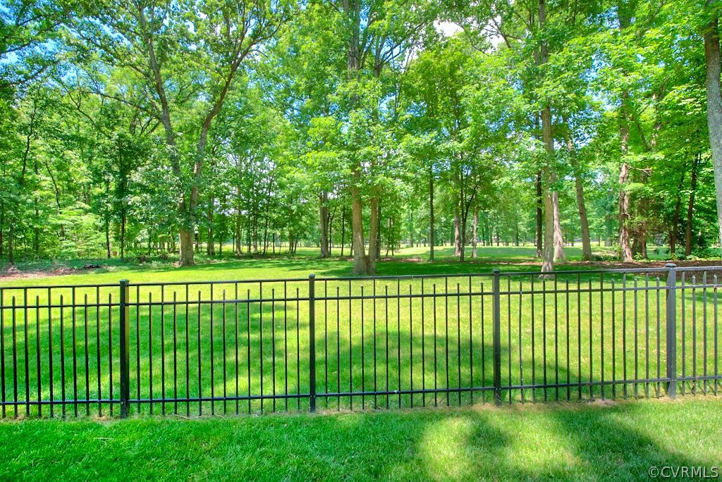 13860 West Salisbury Road Midlothian, VA 23113 - Photo 3 of 40 a view of a yard with a large trees