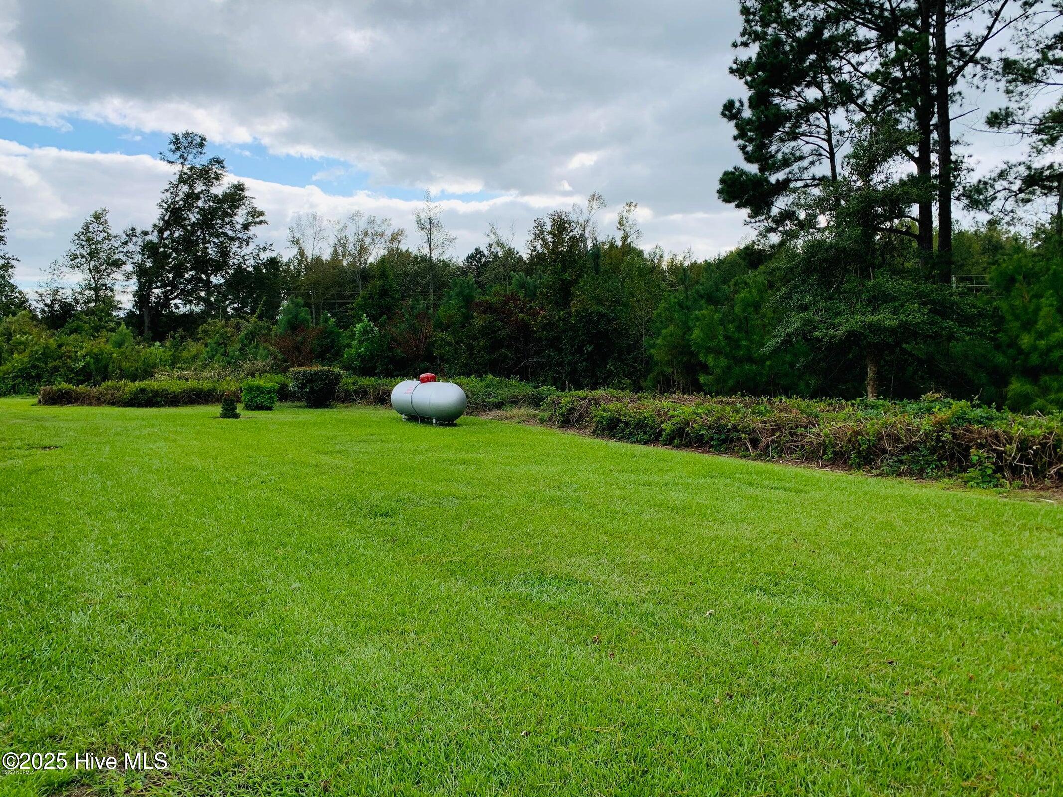 3006 Lester Mills Road Greenville, NC 27858 - Photo 8 of 22 ext-rear-yard