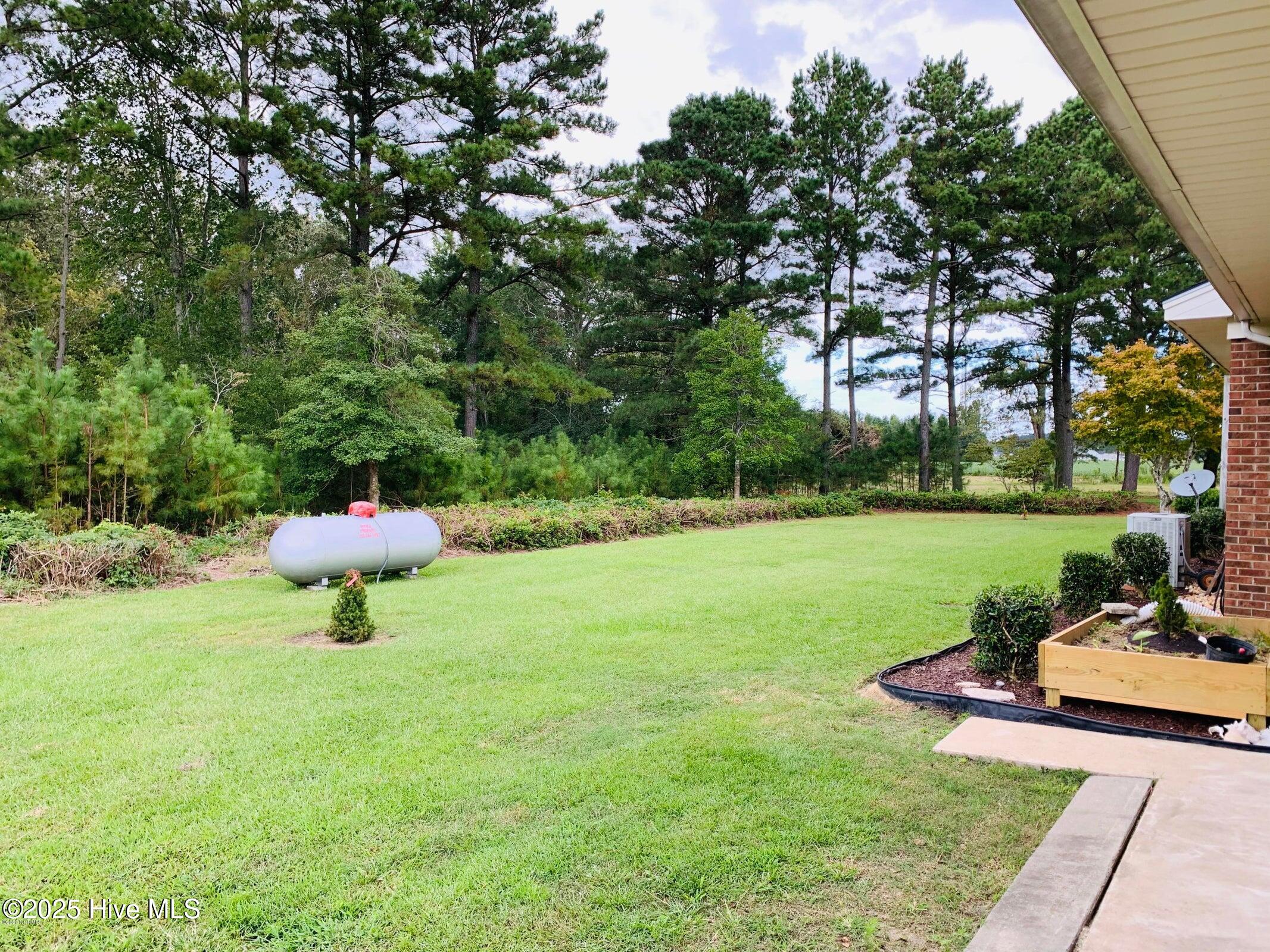 3006 Lester Mills Road Greenville, NC 27858 - Photo 9 of 22 ext-rear-yard-2