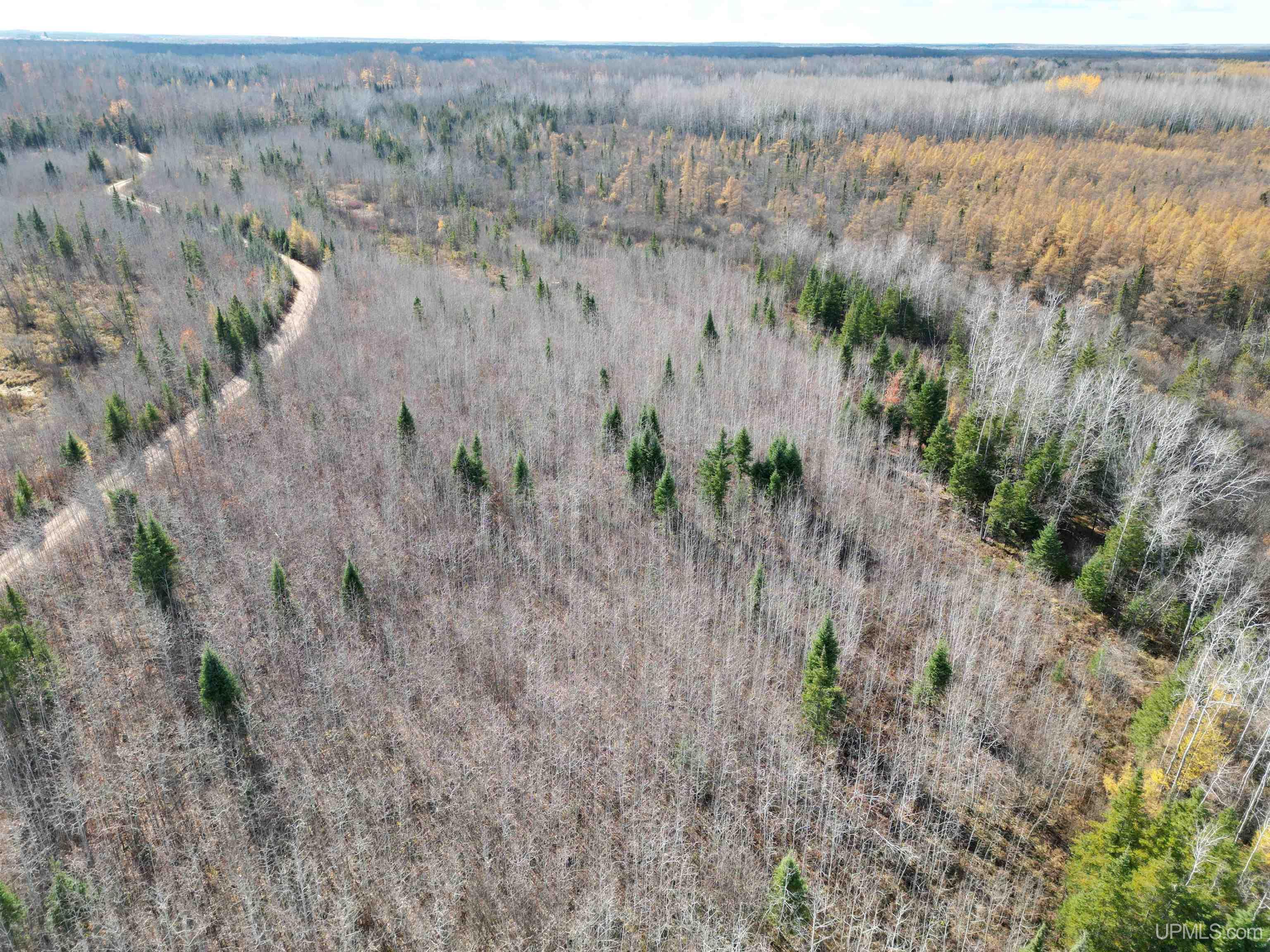 27.5 Rd 52 Ac Trail Gladstone, MI 49837 - Photo 7 of 20
