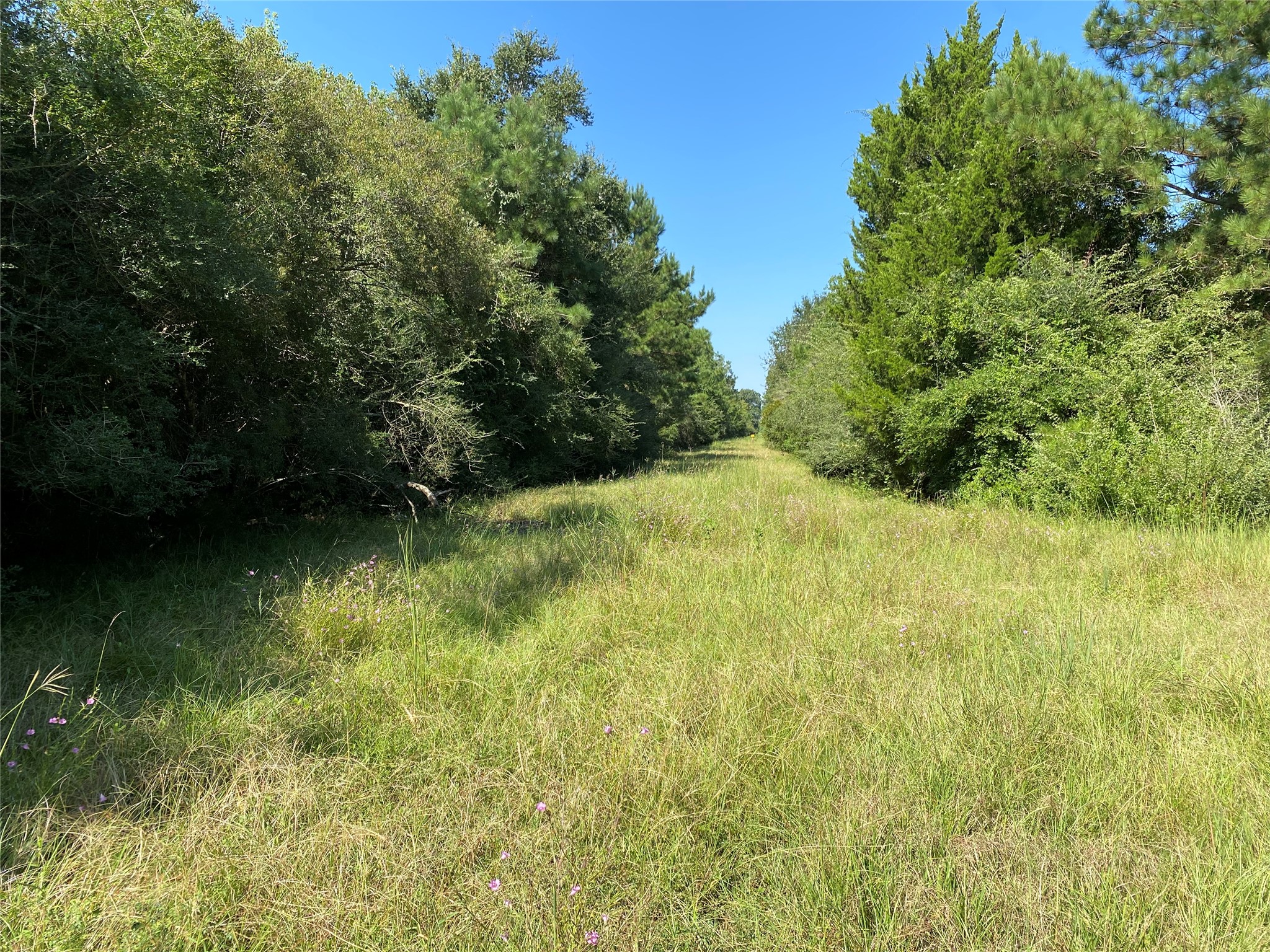 6115 Highway 35 Alvin, TX 77511 - Photo 13 of 49