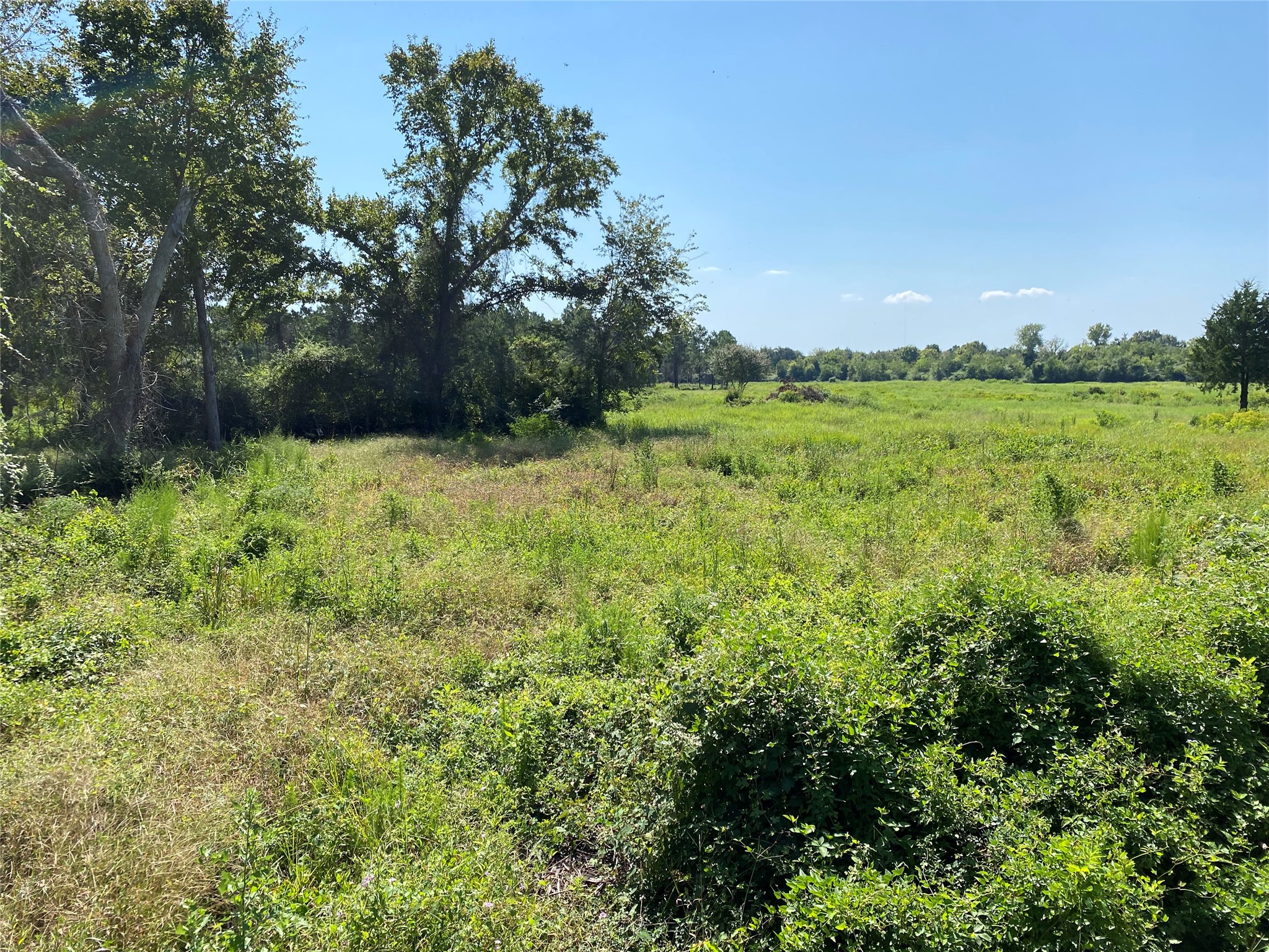 6115 Highway 35 Alvin, TX 77511 - Photo 18 of 49 a view of outdoor space and yard