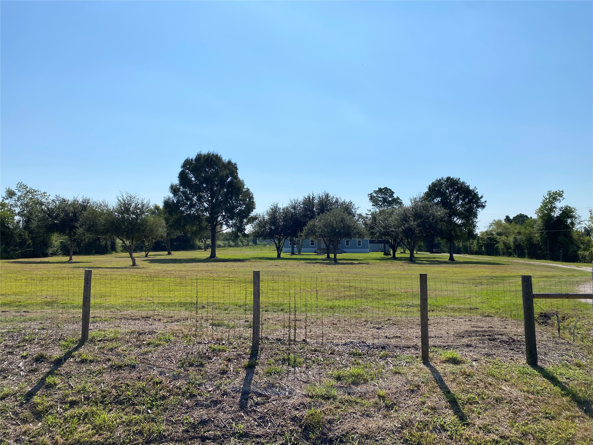 6115 Highway 35 Alvin, TX 77511 - Photo 3 of 49 a view of a field with an trees