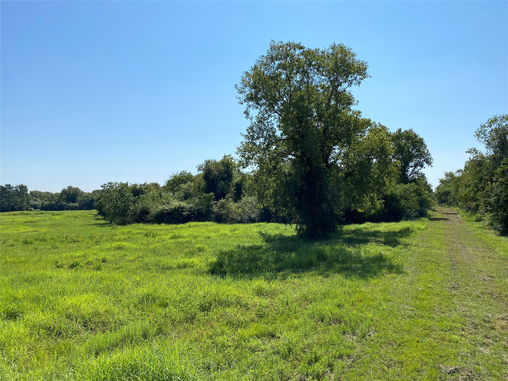6115 Highway 35 Alvin, TX 77511 - Photo 6 of 49 a view of an outdoor space and yard