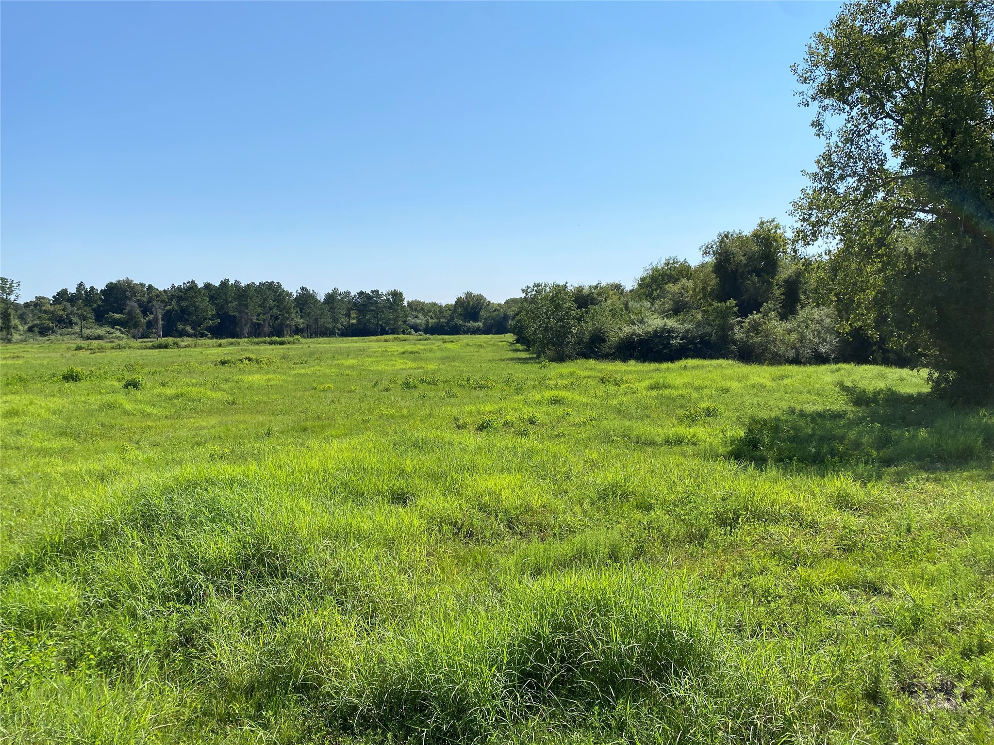 6115 Highway 35 Alvin, TX 77511 - Photo 7 of 49 a view of an outdoor space and a yard