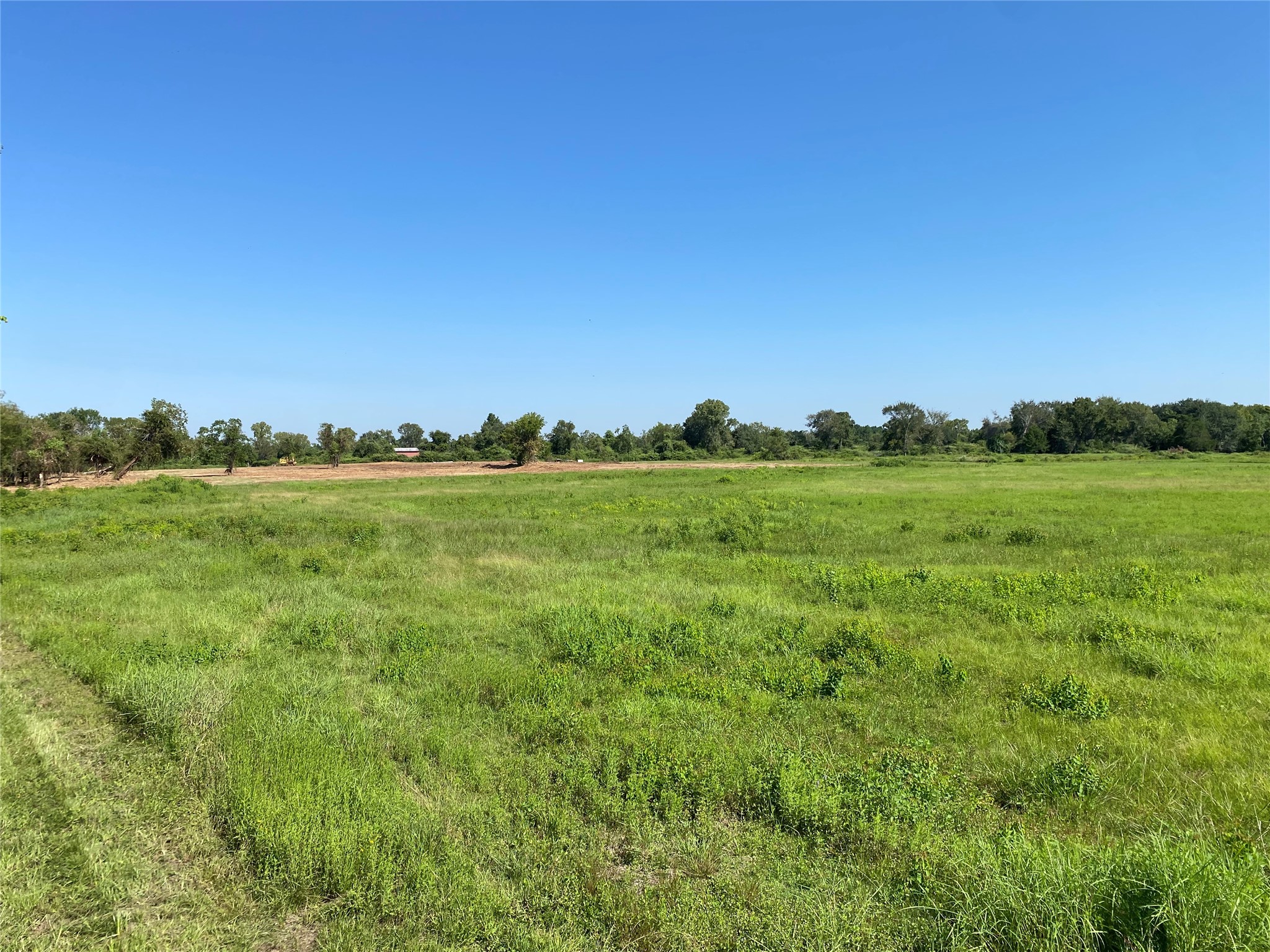 6115 Highway 35 Alvin, TX 77511 - Photo 8 of 49 a view of a big yard with a large tree and a table and chair