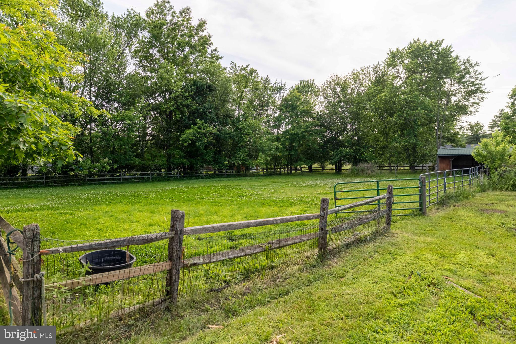 265 Walter Road Chalfont, PA 18914 - Photo 71 of 83 Fenced yard