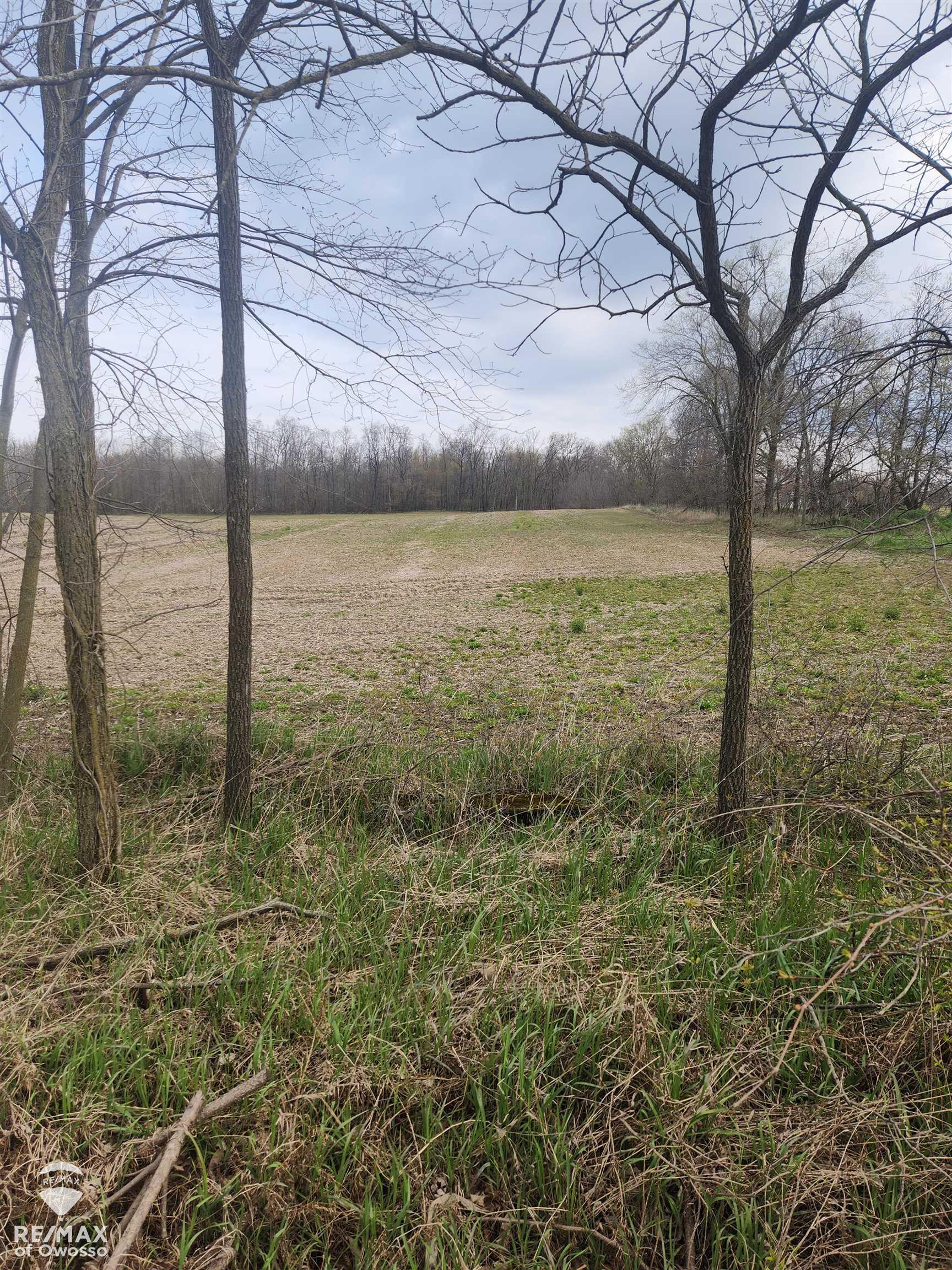 0 Rolston Road Gaines, MI 48436 - Photo 4 of 12