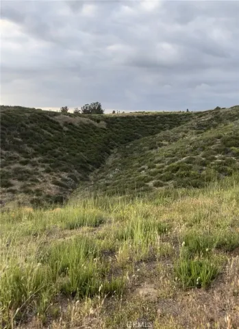 a view of lake with green space