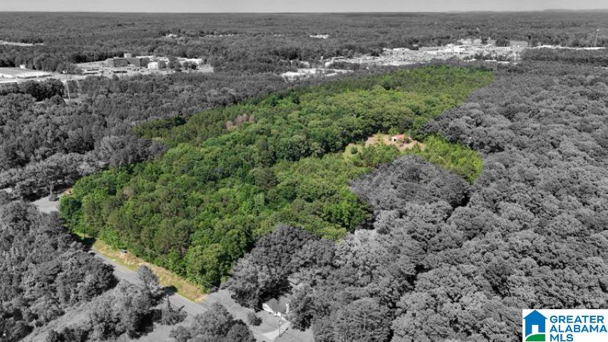 0 Jones Dairy Road Jasper, AL 35501 - Photo 2 of 14