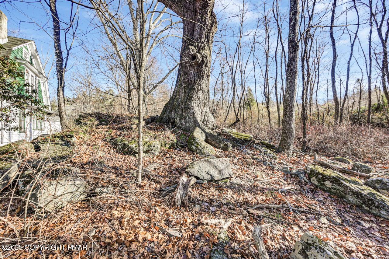 3 Stone Tree Drive Canadensis, PA 18325 - Photo 192 of 201 a view of a backyard of the house