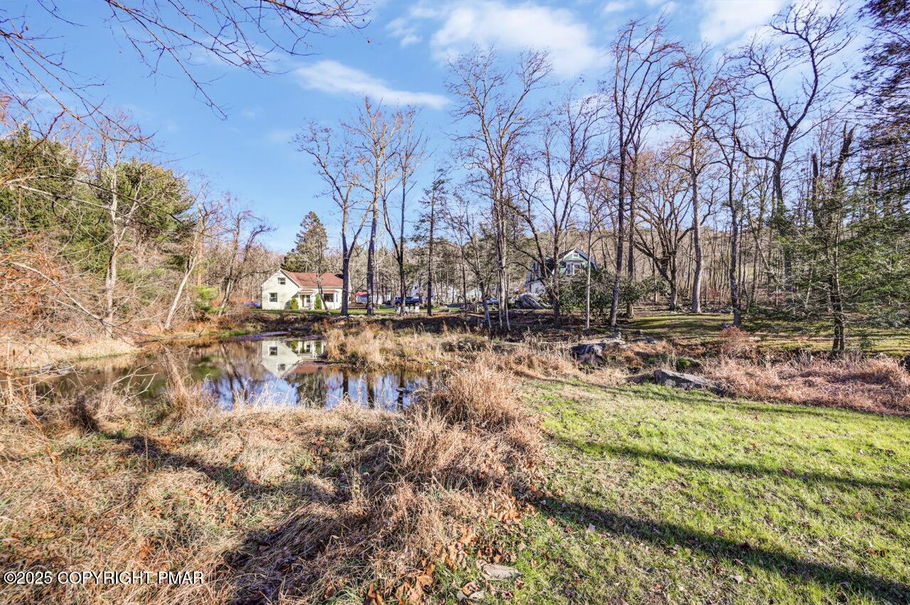 3 Stone Tree Drive Canadensis, PA 18325 - Photo 195 of 201 a view of swimming pool with a yard and trees
