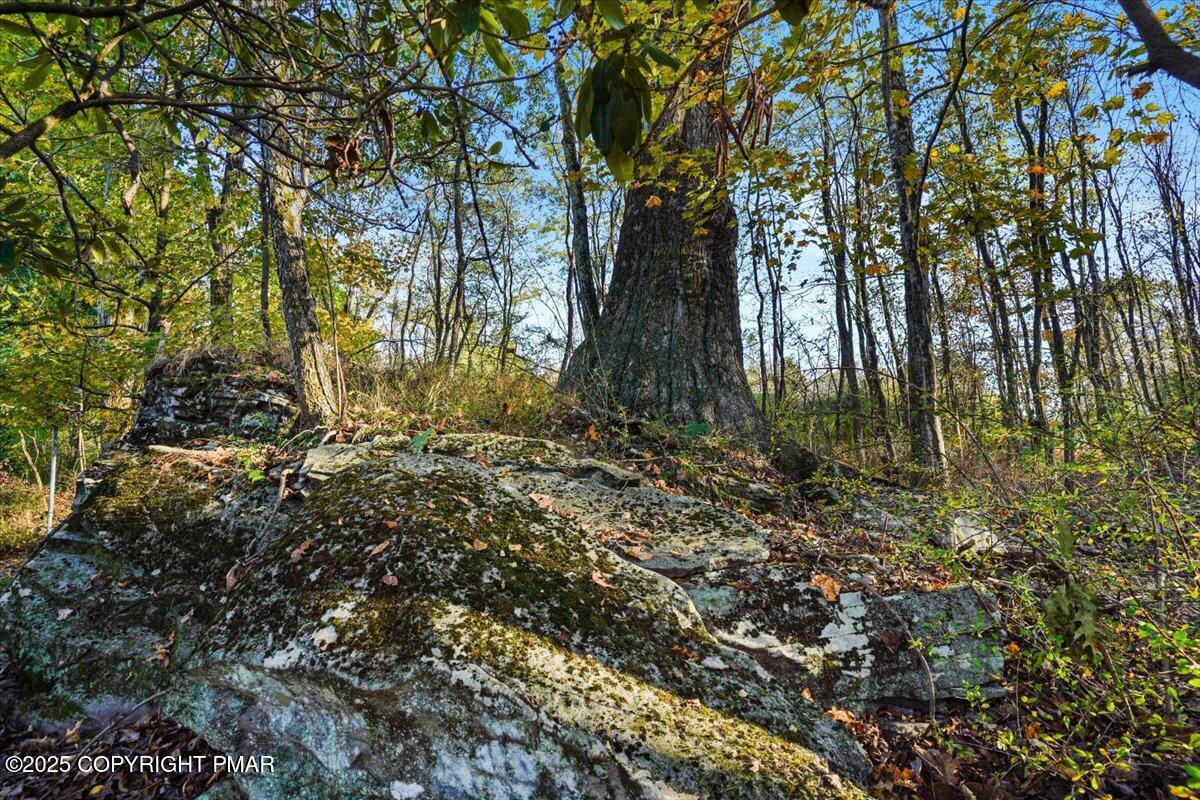 3 Stone Tree Drive Canadensis, PA 18325 - Photo 20 of 201 02-Photo-2