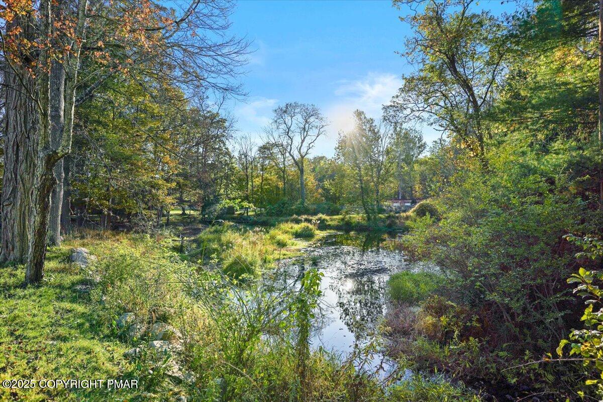 3 Stone Tree Drive Canadensis, PA 18325 - Photo 24 of 201 a view of a garden with a tree